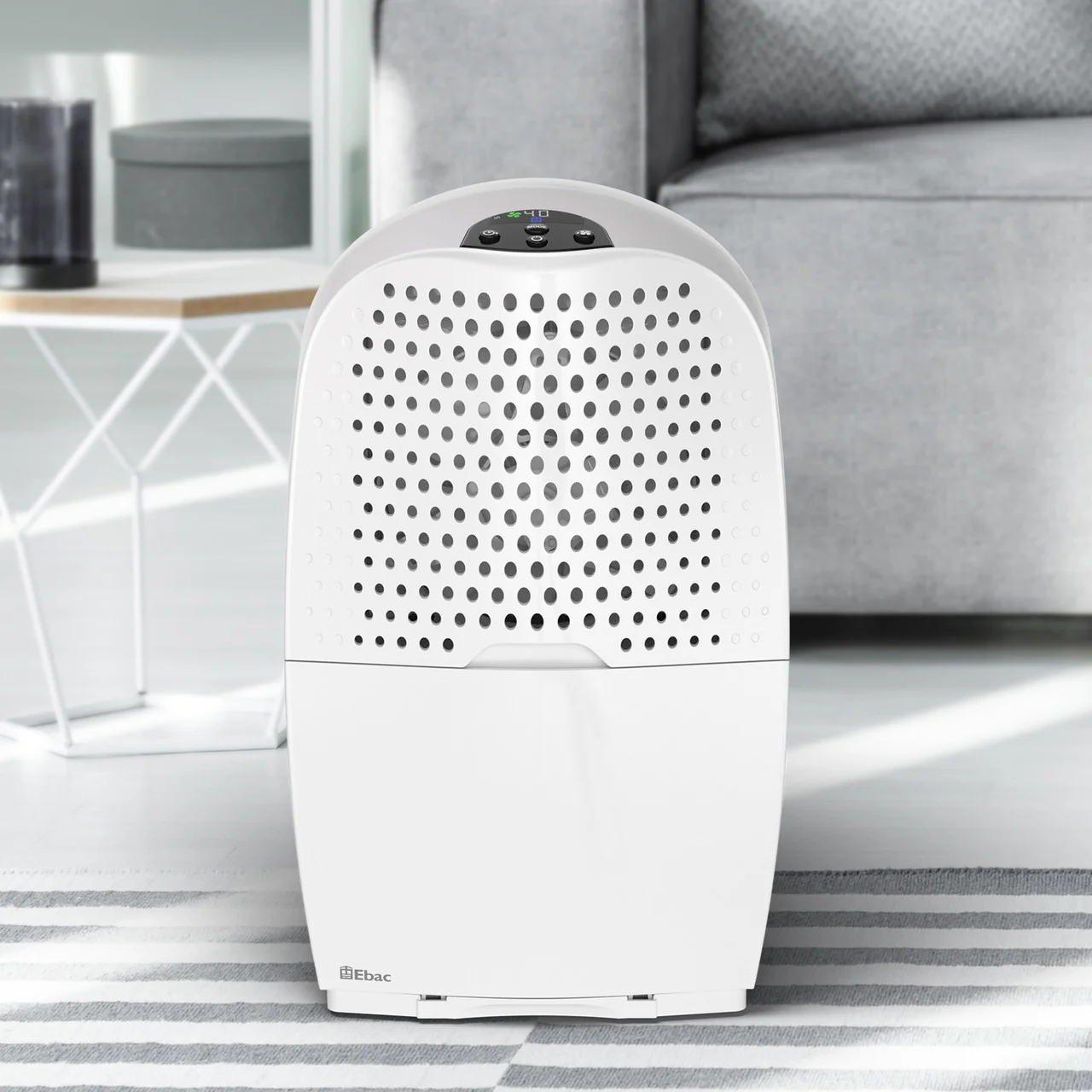 Ebac 4250 Dehumidifier