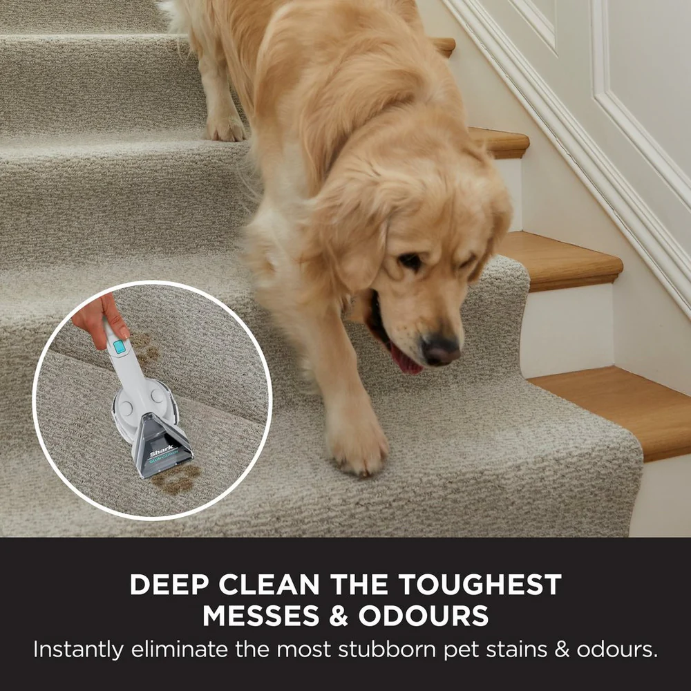 Shark EX200UK CarpetXpert Deep Carpet Cleaner with Built-In StainStriker - Rotator White - Image 4